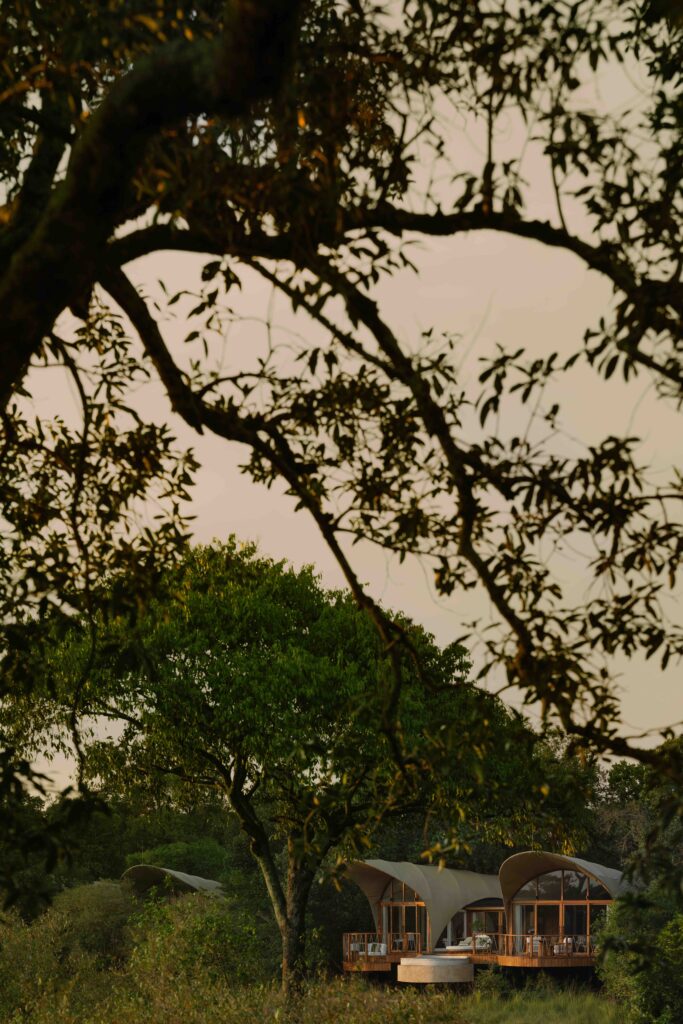 Above the Treetops, Into the Wild: A New Vision of Safari Design 2 LWDesign RitzCarlton MasaiMara NateleeCocks 038