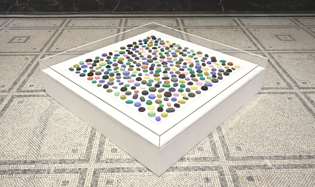 Ramzi Mallat Not Your Martyr 2023 Installed at VA South Kensington 3