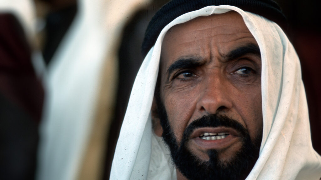6. Sheikh Zayed Portrait