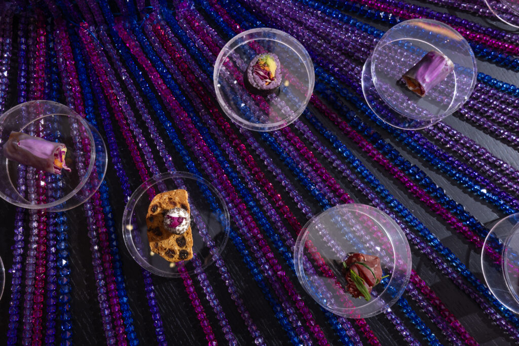 Rami Kadi Blooming Universe Exhibition 6