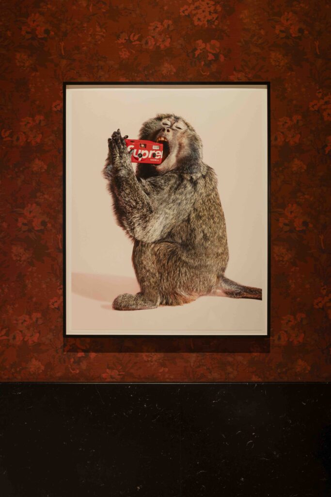 Stairway Exhibition 04