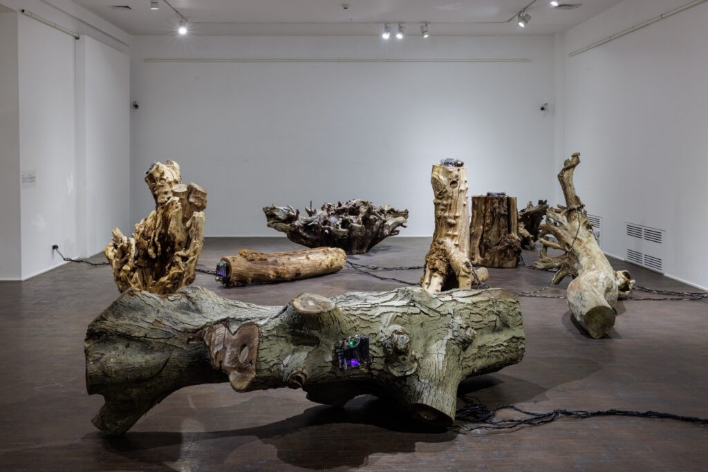 1n33g4fgmvi1yczwtb5emtqwpmyyfqvcl