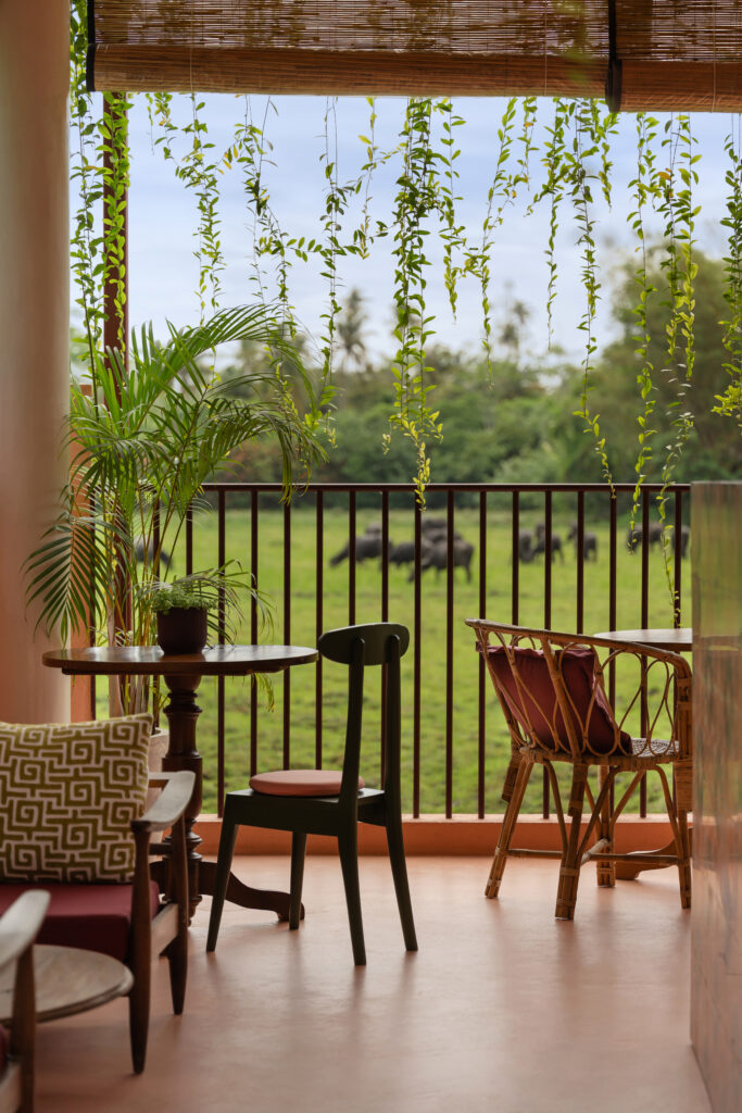 The Sweetness of Slow Living 9 CasaTikiriPaddyLodge NateleeCocks 011