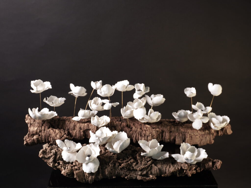 Dana Kamal And The Quiet Strength of Porcelain 5 Still Rooted