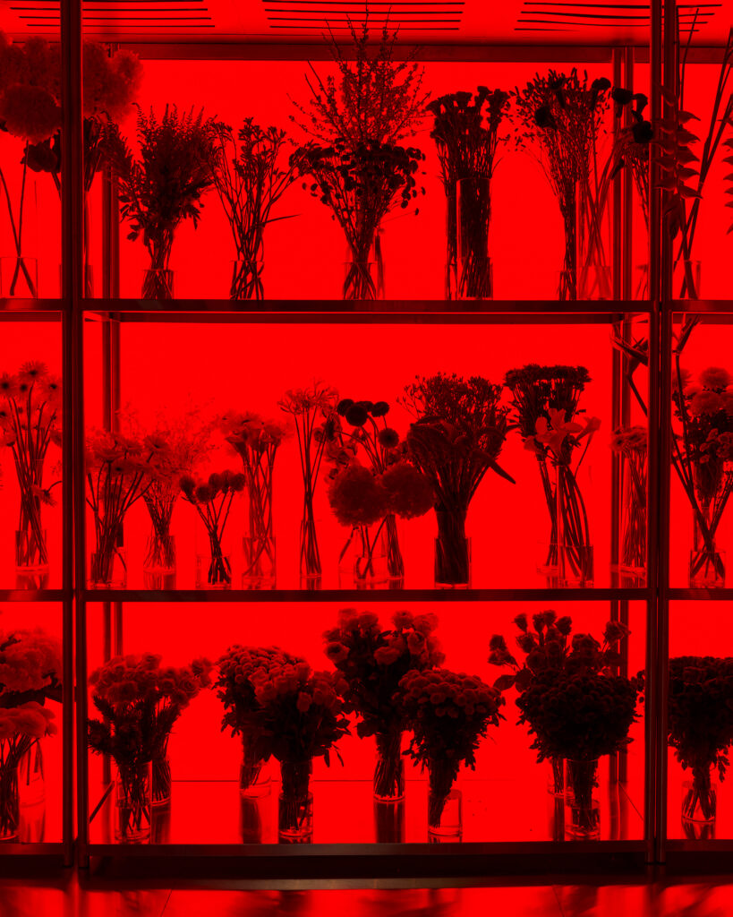 UrArtU Gallery HR amir agaev4.53