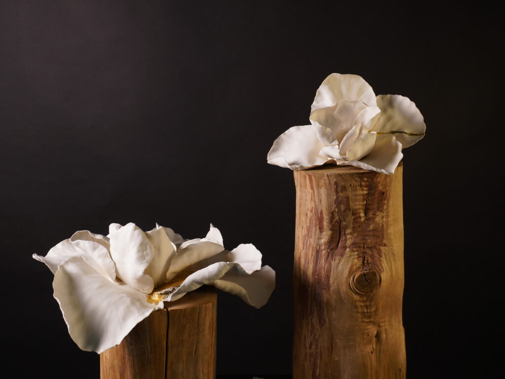 Dana Kamal And The Quiet Strength of Porcelain 1 in quiet they bloom