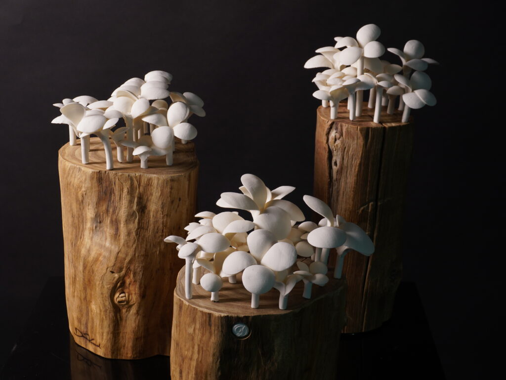 Dana Kamal And The Quiet Strength of Porcelain 6 where the light fails they bloom