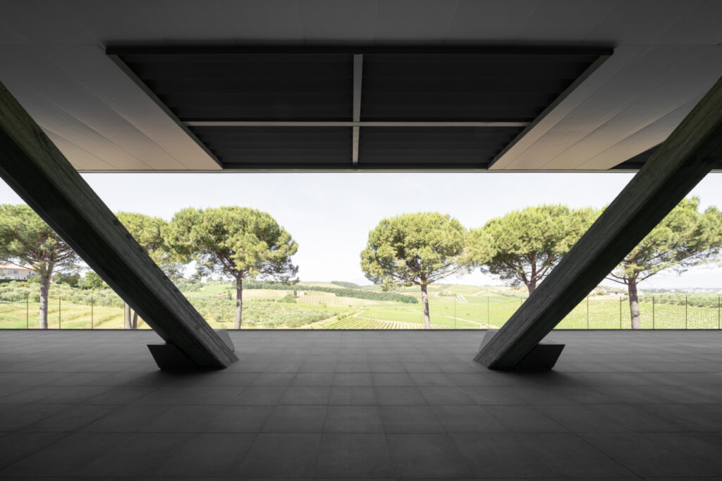 BALENCIAGA THE PLANT IMAGE 16 © Marco Cappelletti