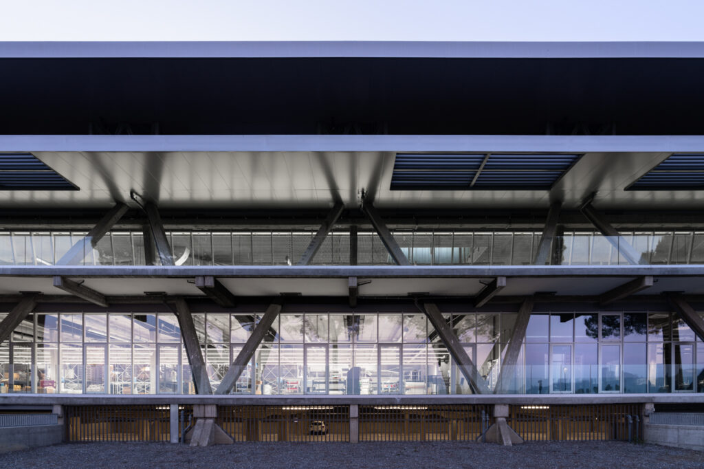 BALENCIAGA THE PLANT IMAGE 5 © Marco Cappelletti