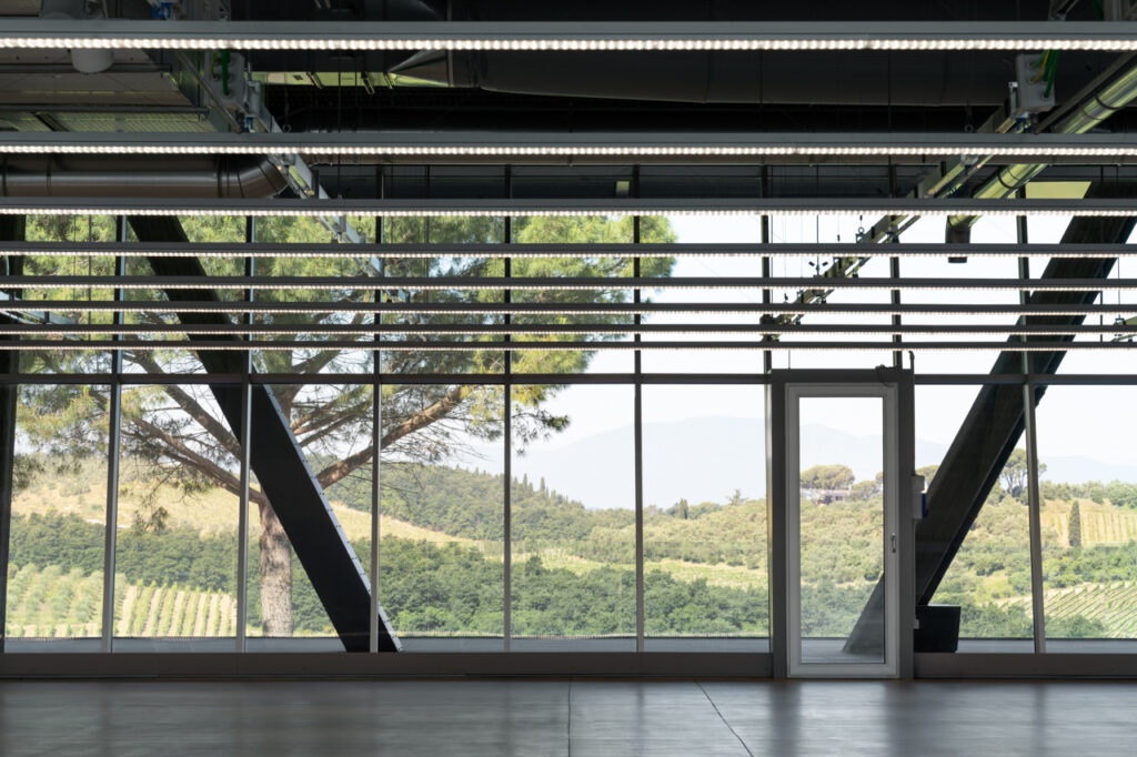 BALENCIAGA THE PLANT IMAGE 8 © Marco Cappelletti