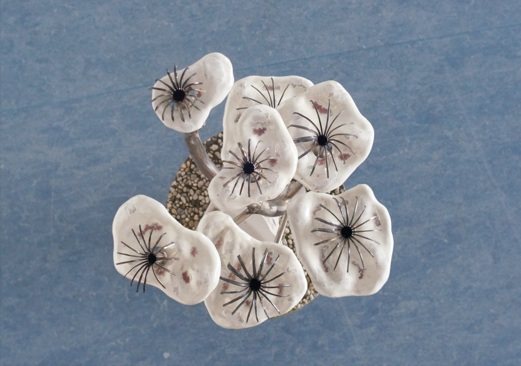 Coollect, or The Art of Looking Without a Name 4 Barry Llewellyn Studio Lasioideae 2022 2