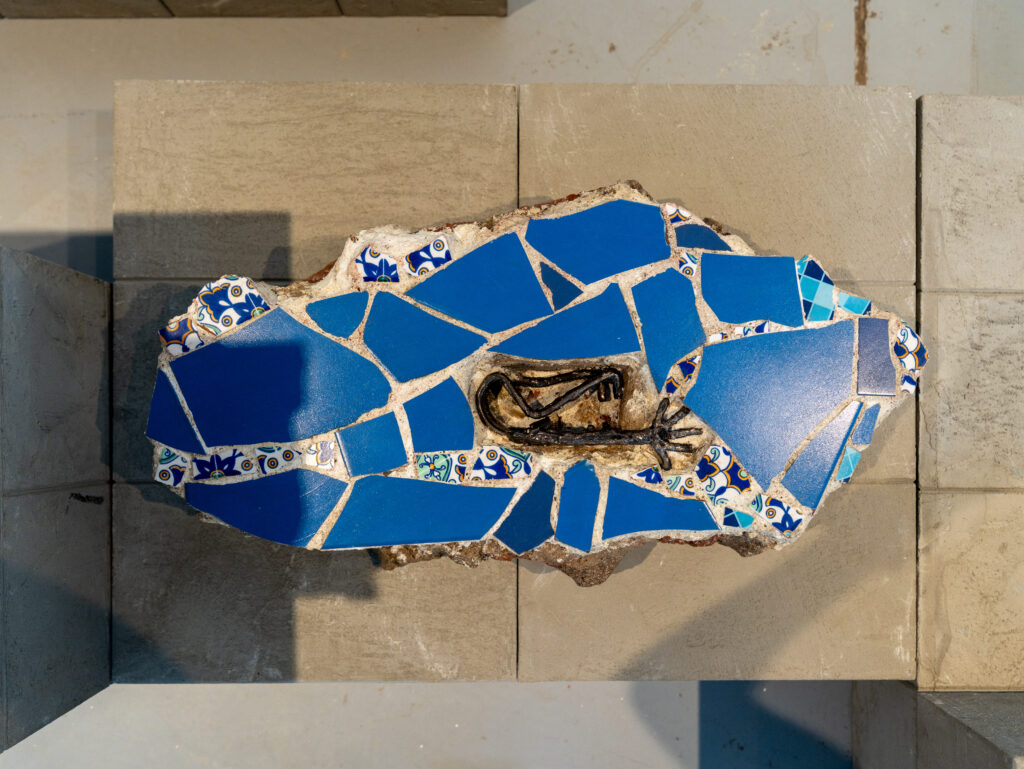 Coollect, or The Art of Looking Without a Name 2 نسخة من DSC05686