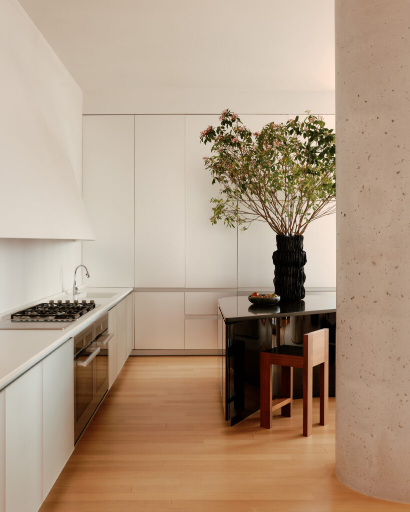 Nacho Polo Robert Onuska New York Residence 06