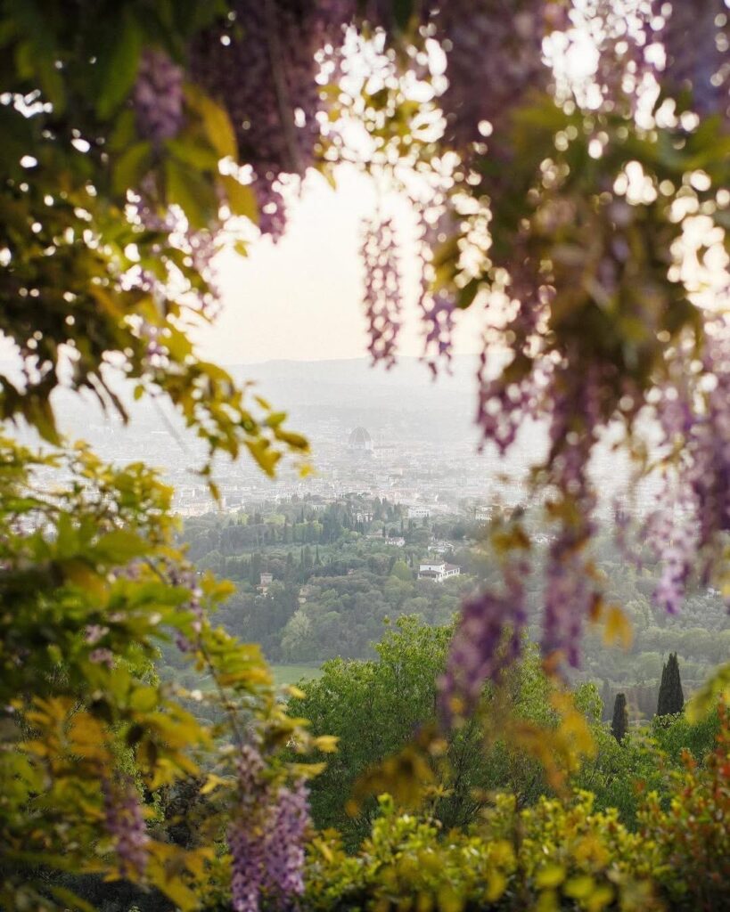 90710ac9 902f 4a0a b10c ae8022ce04f8