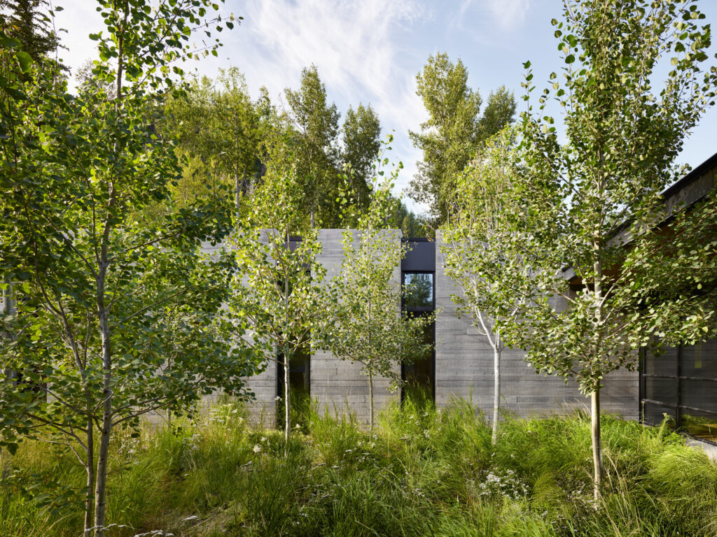 Copy of WW Kara Creek 2024 Millman N154