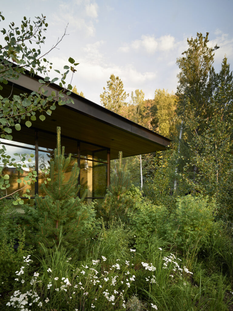 Copy of WW Kara Creek 2024 Millman N168