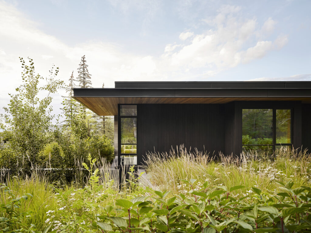 Copy of WW Kara Creek 2024 Millman N169