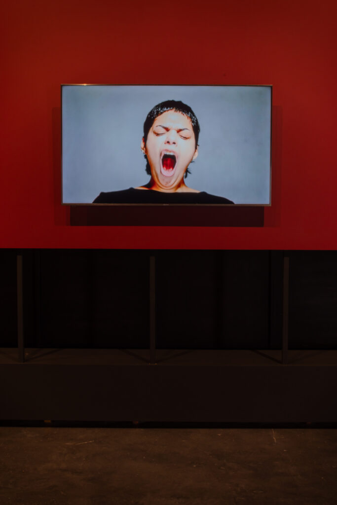 Installation view of ‘A Brief Commentary on Almost Everything 2012 by Mirna Bamieh