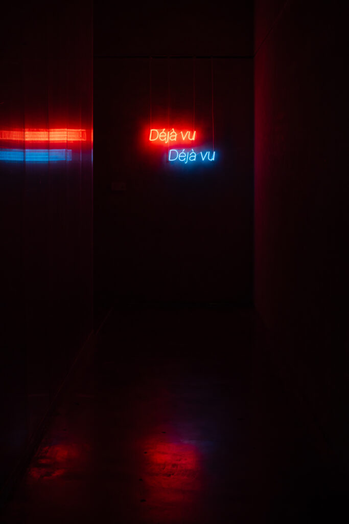 Installation view of ‘Deja Vu 2016 by Raed Yassin