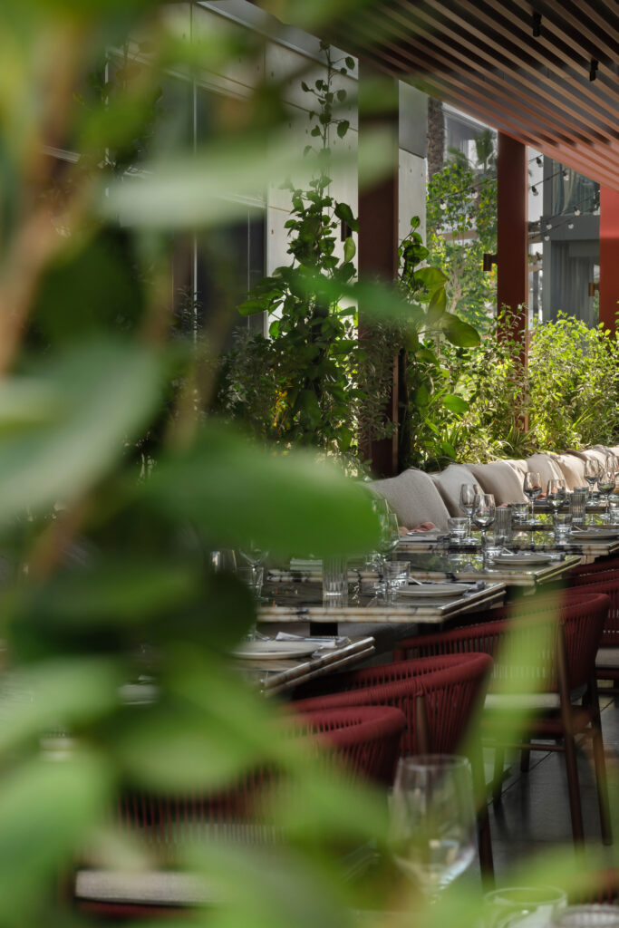 Rare Terrace 2