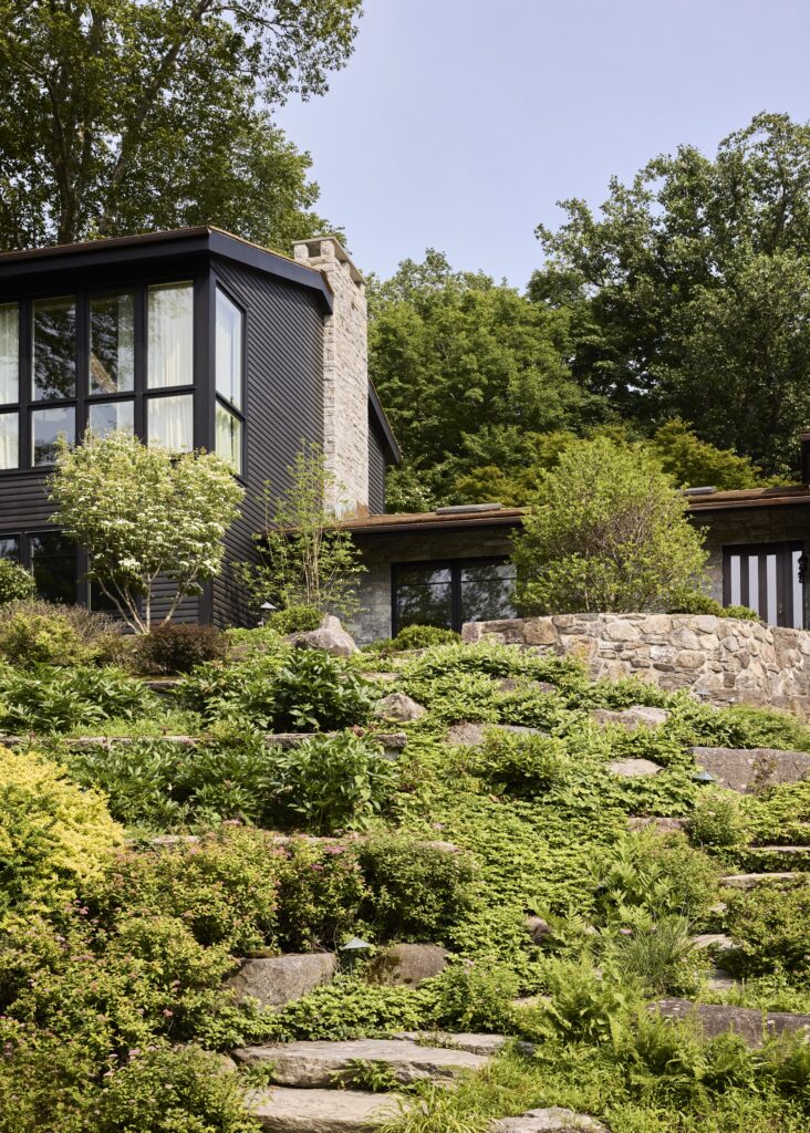 The House in the Woods That Glows Green at Night 1 4. Exterior 010