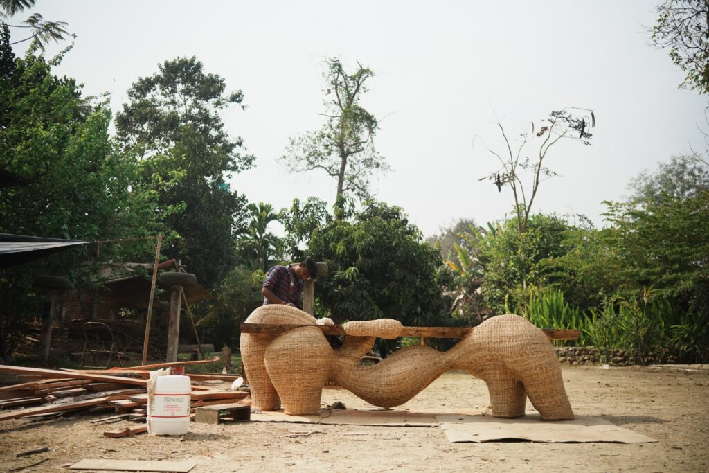 Prorustani or Growing Into by Tadeas Podracky x Heirloom Naga Centre for Shakti Design Residency image Vikepe Yhokha
