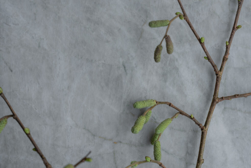 A Suite Beneath the Chestnuts 10 Detail branch
