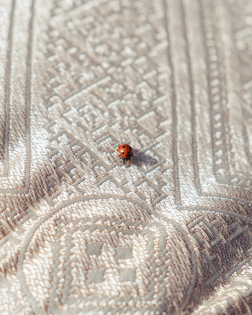 Meet the Designers Turning an Imaginary Alphabet into Furniture 7 Signs of life 3