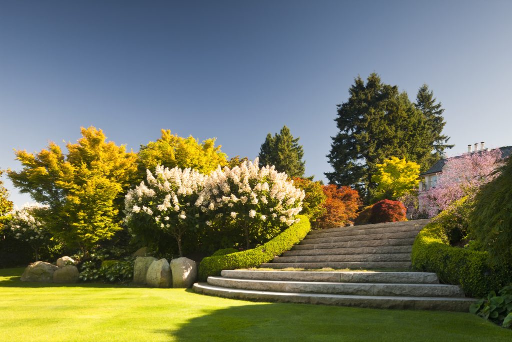The Luxury of Space: The Art of Landscaping 3 4. EXCLUSIVE Outlook 2 NicLehoux